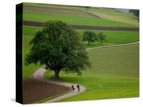 Bicycling in Basel Land, Jura Mountains, Switzerland-David Barnes-Stretched Canvas