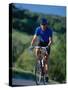 Bicyclist on Road, Napa Valley, CA-Robert Houser-Stretched Canvas