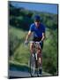 Bicyclist on Road, Napa Valley, CA-Robert Houser-Mounted Photographic Print