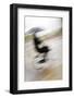 Bicyclist with an Umbrella-Guido Cozzi-Framed Photographic Print