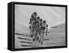 Bicyclists Competing at the Olympics-George Silk-Framed Stretched Canvas