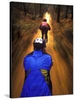 Bicyclists Perspective-Chuck Haney-Stretched Canvas