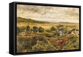 Bidston Marsh, 1855 (Oil on Board)-William Davis-Framed Stretched Canvas