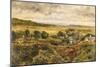 Bidston Marsh, 1855 (Oil on Board)-William Davis-Mounted Giclee Print