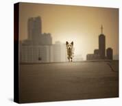 Be with You-Biduri Chang-Hwan Park-Photographic Print