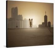 Be with You-Biduri Chang-Hwan Park-Photographic Print