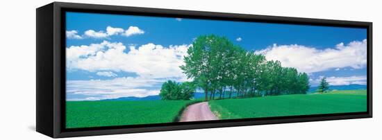 Biei-Cho Hokkaido Japan-null-Framed Stretched Canvas