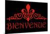 Bienvenue - Welcome 2-null-Mounted Poster