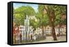 Bienville Square, Mobile, Alabama-null-Framed Stretched Canvas