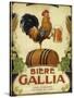 Biere Gallia-Vintage Apple Collection-Stretched Canvas