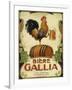 Biere Gallia-Vintage Apple Collection-Framed Giclee Print