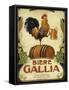 Biere Gallia-Vintage Apple Collection-Framed Stretched Canvas