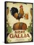 Biere Gallia-Vintage Apple Collection-Framed Stretched Canvas