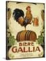 Biere Gallia-Vintage Apple Collection-Stretched Canvas