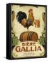 Biere Gallia-Vintage Apple Collection-Framed Stretched Canvas