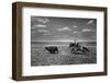 Biffin Ranch-Alfred Eisenstaedt-Framed Photographic Print