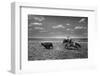Biffin Ranch-Alfred Eisenstaedt-Framed Photographic Print