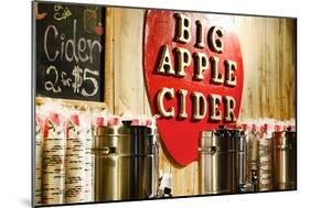 Big Apple Cider for Sale at the Christmas Market in Bryant Park,-Sabine Jacobs-Mounted Photographic Print