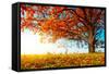 Big Autumn Oak With Red Leaves On A Blue Sky Background-Dudarev Mikhail-Framed Stretched Canvas