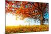 Big Autumn Oak With Red Leaves On A Blue Sky Background-Dudarev Mikhail-Mounted Photographic Print