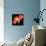 Big Bang Probability, Conceptual Image-Victor De Schwanberg-Premium Photographic Print displayed on a wall