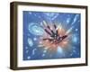 Big Bang-Chris Butler-Framed Photographic Print