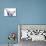 Big Bang-Agnes Cecile-Mounted Premium Giclee Print displayed on a wall
