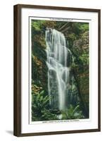 Big Basin, California - Berry Creek Falls Scene-Lantern Press-Framed Art Print