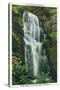 Big Basin, California - Berry Creek Falls Scene-Lantern Press-Stretched Canvas