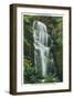 Big Basin, California - Berry Creek Falls Scene-Lantern Press-Framed Art Print