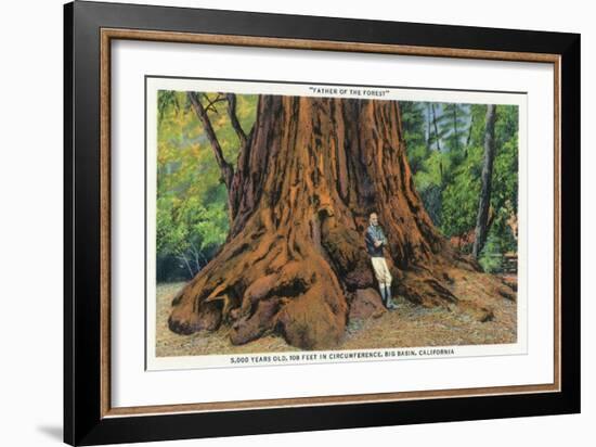 Big Basin, California - Father of the Forest Tree, 5000 Years old-Lantern Press-Framed Art Print