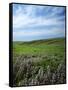 Big Basin Prairie Preserve, Kansas, USA-Charles Gurche-Framed Stretched Canvas