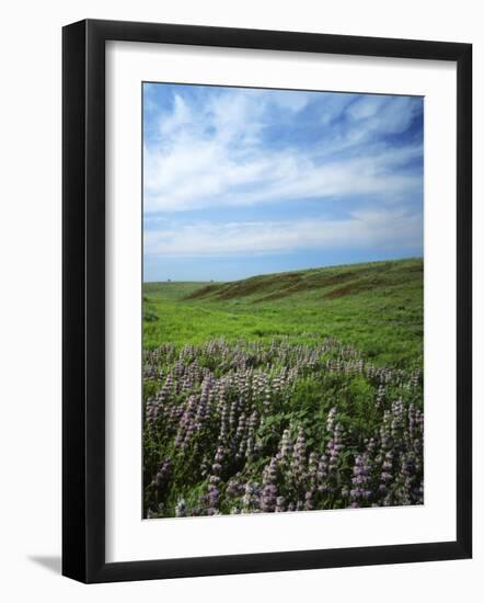 Big Basin Prairie Preserve, Kansas, USA-Charles Gurche-Framed Photographic Print