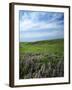 Big Basin Prairie Preserve, Kansas, USA-Charles Gurche-Framed Photographic Print