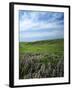 Big Basin Prairie Preserve, Kansas, USA-Charles Gurche-Framed Photographic Print