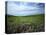 Big Basin Prairie Preserve, Kansas, USA-Charles Gurche-Stretched Canvas