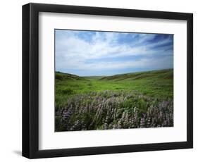 Big Basin Prairie Preserve, Kansas, USA-Charles Gurche-Framed Photographic Print