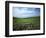 Big Basin Prairie Preserve, Kansas, USA-Charles Gurche-Framed Photographic Print