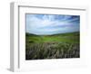 Big Basin Prairie Preserve, Kansas, USA-Charles Gurche-Framed Photographic Print