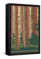 Big Basin Redwoods State Park - Forest View-Lantern Press-Framed Stretched Canvas