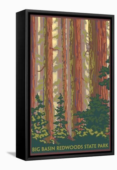 Big Basin Redwoods State Park - Forest View-Lantern Press-Framed Stretched Canvas