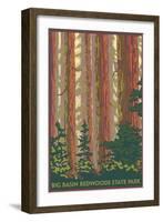 Big Basin Redwoods State Park - Forest View-Lantern Press-Framed Art Print