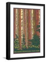 Big Basin Redwoods State Park - Forest View-Lantern Press-Framed Art Print