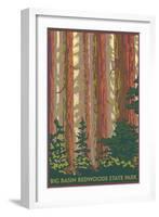 Big Basin Redwoods State Park - Forest View-Lantern Press-Framed Art Print