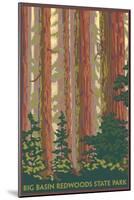 Big Basin Redwoods State Park - Forest View-Lantern Press-Mounted Art Print