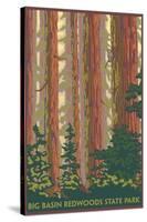 Big Basin Redwoods State Park - Forest View-Lantern Press-Stretched Canvas