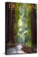 Big Basin Redwoods State Park - Pathway in Trees-Lantern Press-Stretched Canvas