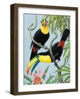 Big-Beaked Birds-R.B. Davis-Framed Giclee Print