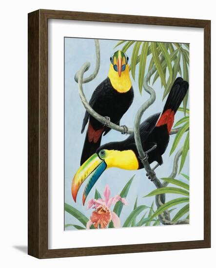 Big-Beaked Birds-R.B. Davis-Framed Giclee Print