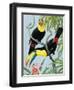 Big-Beaked Birds-R.B. Davis-Framed Giclee Print